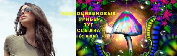 индика Арсеньев