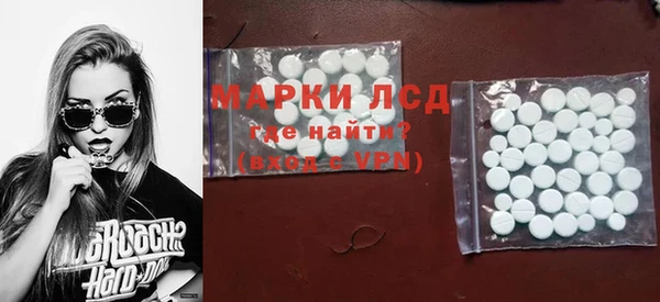индика Арсеньев