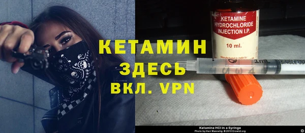 индика Арсеньев