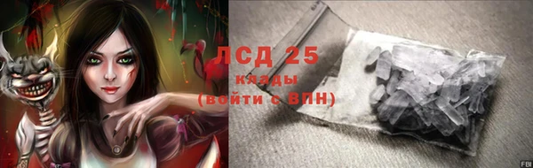 индика Арсеньев