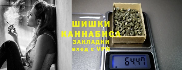 индика Арсеньев