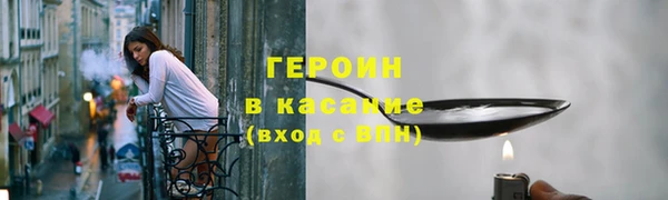 индика Арсеньев