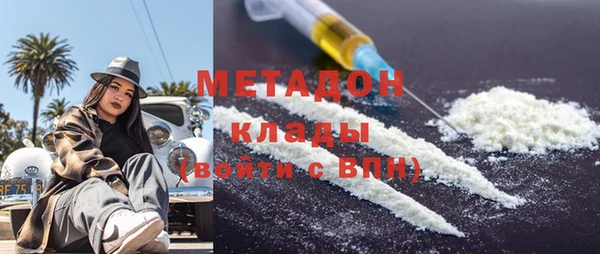 индика Арсеньев
