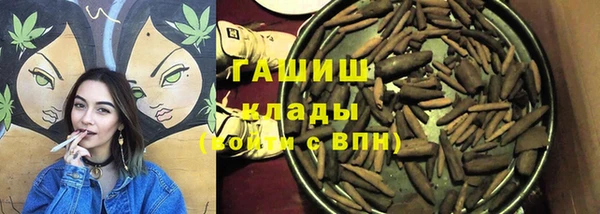 индика Арсеньев
