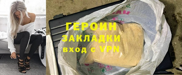 индика Арсеньев