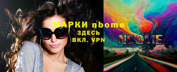 индика Арсеньев