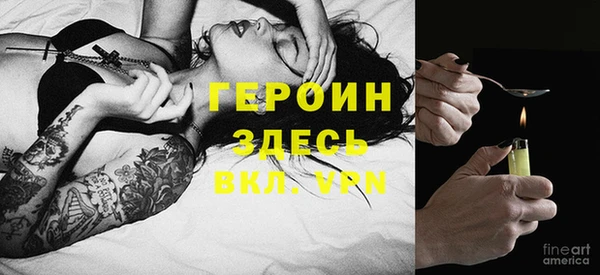 индика Арсеньев