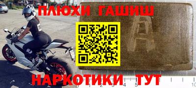 хмурый Кингисепп