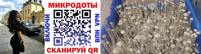 kraken ONION  Кирово-Чепецк  Псилоцибиновые грибы GOLDEN TEACHER 