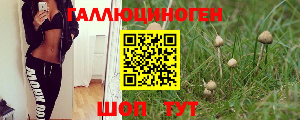 Галлюциногенные грибы Magic Shrooms  Вход с VPN  Кирово-Чепецк  Галлюциногенные грибы MAGIC MUSHROOMS 